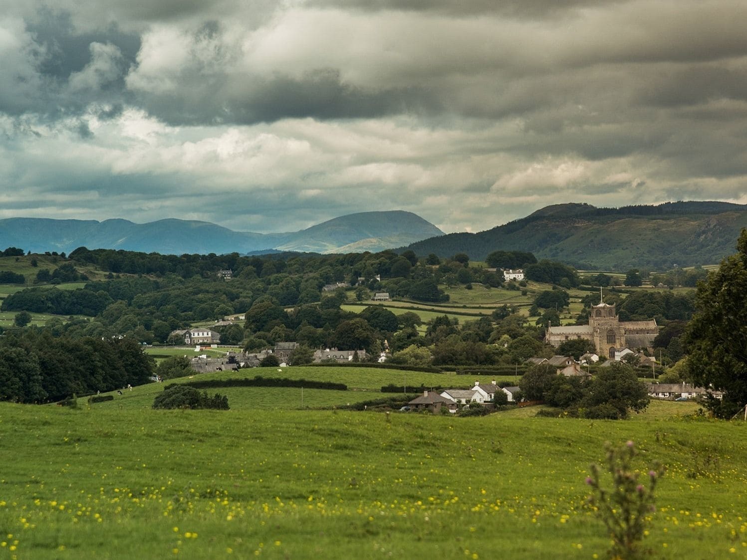 Cartmel Camping Pod Grange-over-Sands Eksteriør bilde